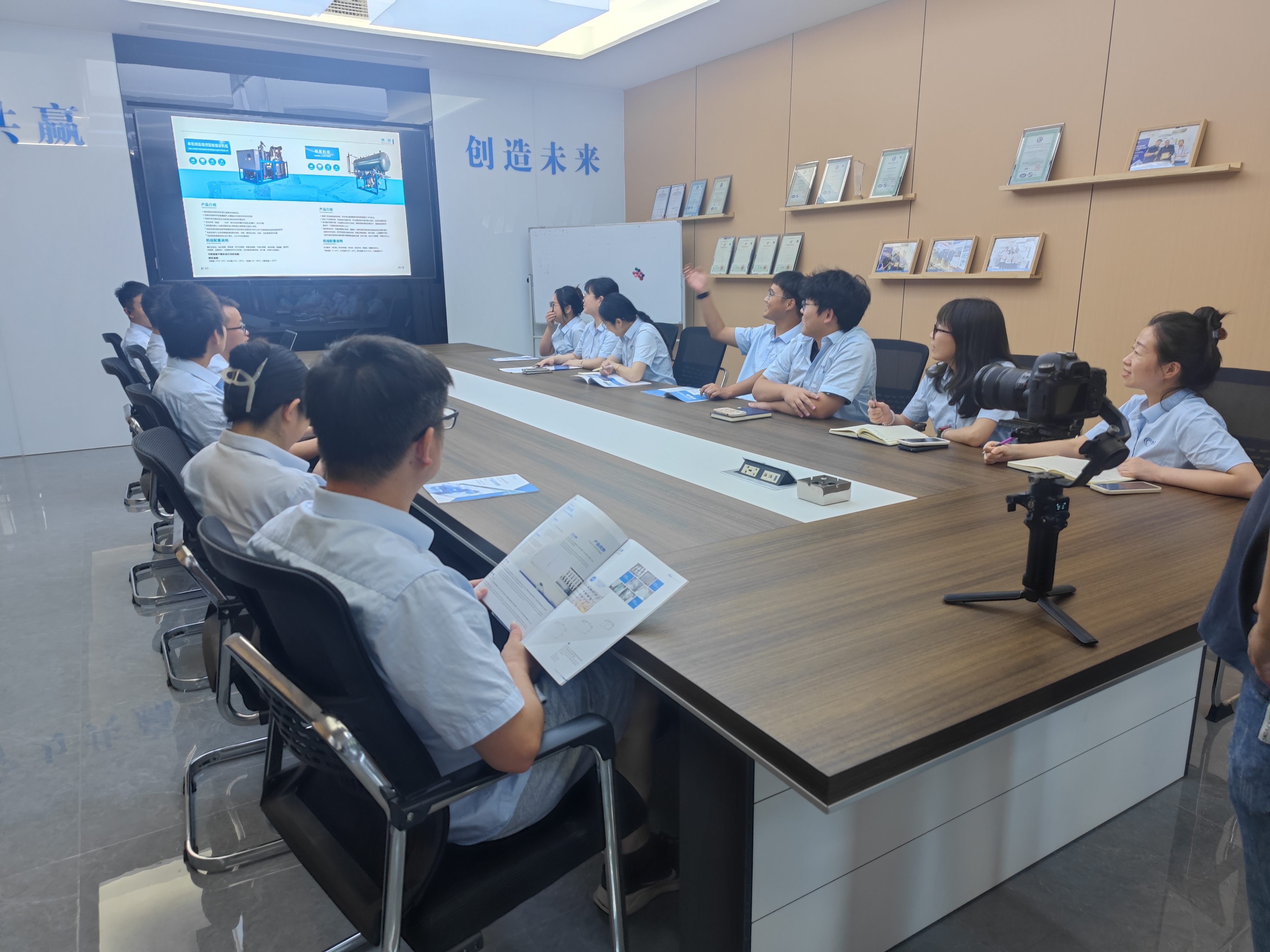 Commercial Ice Ball Maker